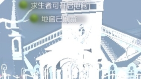 福建少兒編程項(xiàng)目加盟代理 打造未來科技小明星的夢幻工廠